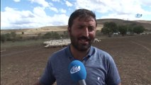 Yayla Sezonunda Sona Gelindi