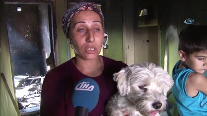 Sadece Havlamamış, Kahvehaneye Gidip Adam Toplamış