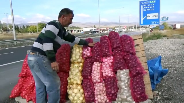 Fiyatıyla Yaza Damga Vurmuştu, Şimdi Yolda 1 Lira