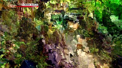 NHK Wildlife 2011 Designed to Dance Birds   of   Paradise