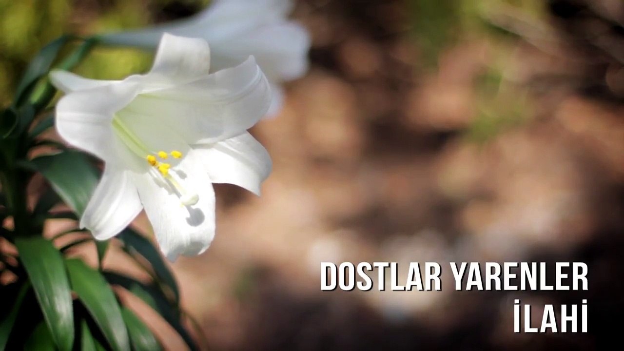 Müziksiz İlahiler - Dostlar Yarenler