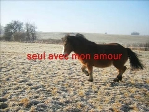 Looping et moi video..................