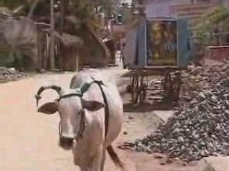 1ere rencontre avec l'inde 8 Mammallapuram