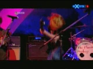 Flamming Monkeys - We re on Fire