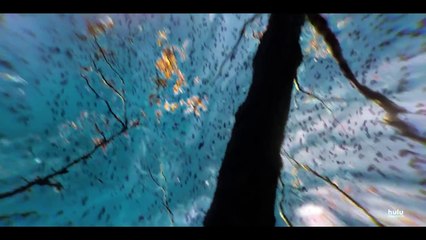 Castle Rock Season 1 EP09 Promo Henry Deaver (2018) Stephen King series