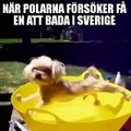 Kalla mig badkruka, men över min döda kropp att jag badar i isvatten en svensk sommar!Text: Ostfrallan.com