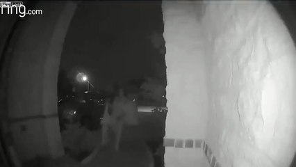 Elle abandonne son fils de 2 ans devant la porte du voisin !