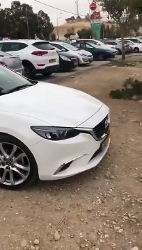 Cette chèvre monte sur une voiture pour manger les feuilles de l'arbre !