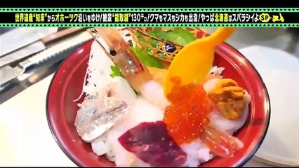 JSM-181013-01