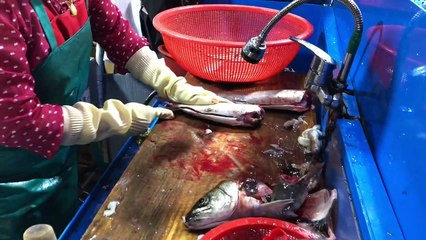 |TẬP 288| XEM NGƯỜI HÀN QUỐC LÀM VÀ ĂN GỎI CÁ SỐNG.회 먹기. RAW FISH MUKBANG