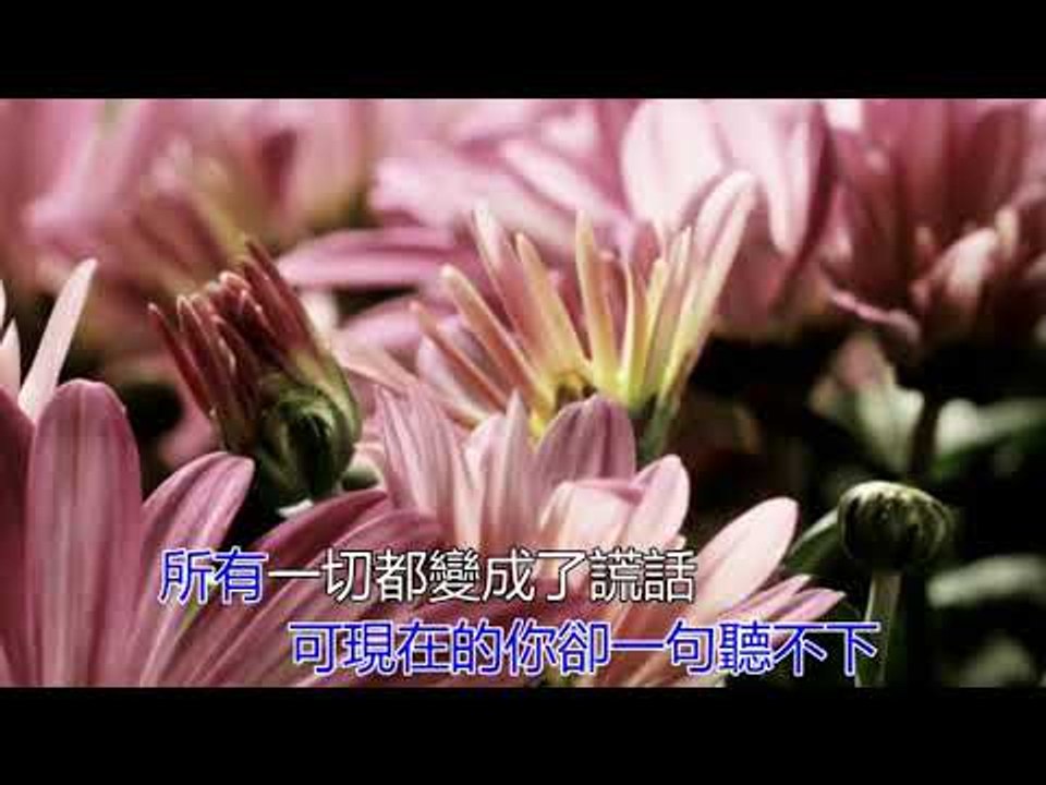 高進-溫柔
