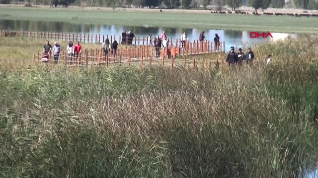 Tokat Kaz Gölü, Kuş Çeşitliliği ve Görselliğiyle Ziyaretçilerin İlgisini Çekiyor
