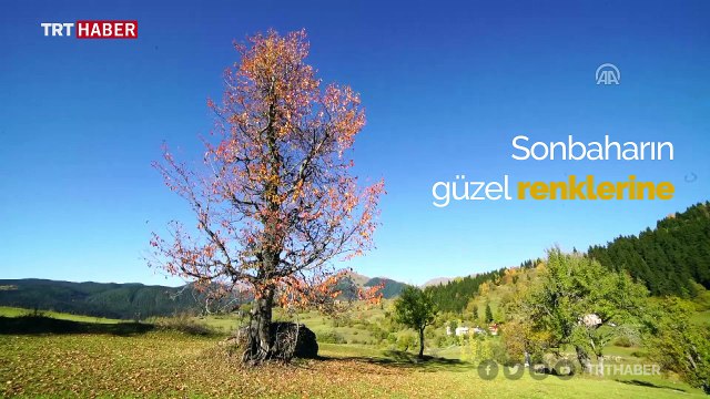 Artvin Karçal Dağları'nda sonbahar güzelliği