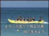 【HD】日本演歌熱唱(7)_無情の夢(無情的夢)_（人聲）MV