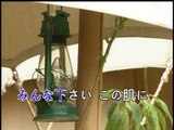 【HD】日本演歌熱唱(13)_夢情話_（人聲）MV