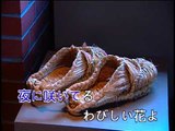 【HD】日本演歌熱唱(9)_酒場の花_（伴奏）MV