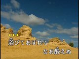 【HD】日本演歌熱唱(5)_淚の酒(淚酒)_（伴奏）MV