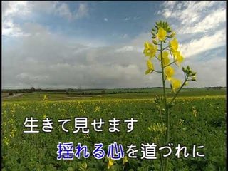 【HD】日本演歌熱唱(11)_命の花_（伴奏）MV