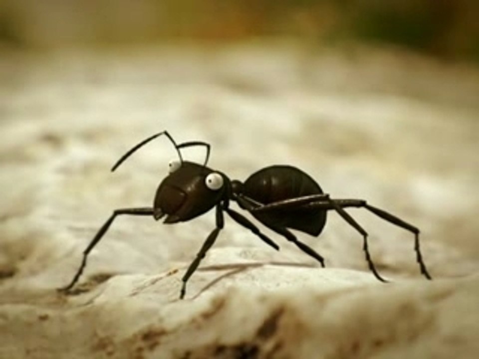 12.le pont de la rivière bzzz