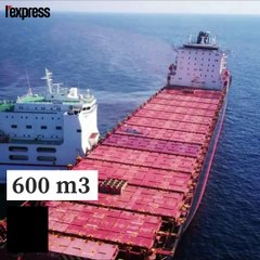 Des plages du Var souillées par des boulettes de pétrole