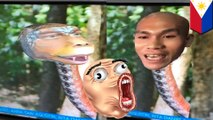 CGI kocak di acara TV Filipina, sinetron naga kalah - TomoNews