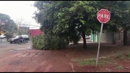 Galhos em via no São Cristóvão atrapalham o fluxo de veículos