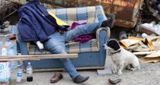 Köpek, 350 Bin TL'ye Evini Satıp Sokakta Yaşamaya Başlayan ve Ölü Bulunan Sahibinin Başında Bekledi