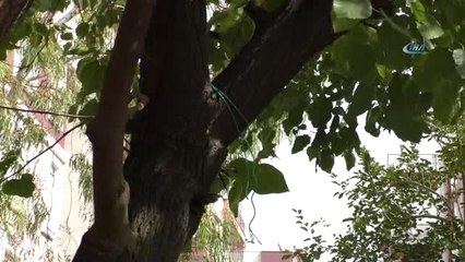 Antalya'da Mezarlıkta İntihar Girişimi... Bunalıma Giren Şahıs Kendini Asmak İstedi