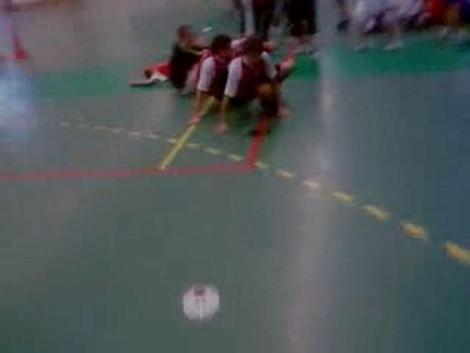 équipe de volley