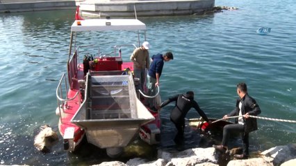 Van Gölü’nde dip temizliği