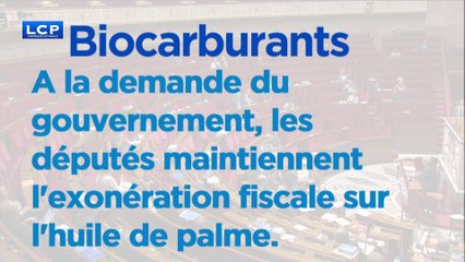 Carburants : l'exonération fiscale sur l'huile de palme maintenue par les députés