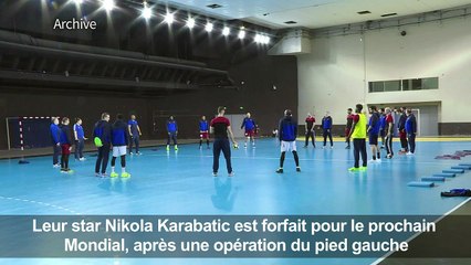 Nikola Karabatic forfait pour le Mondial