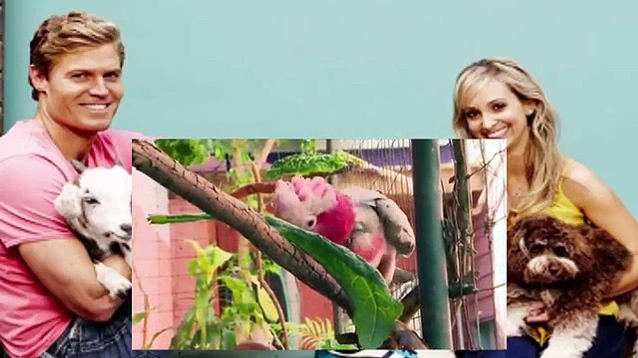 Bondi Vet S06 E15