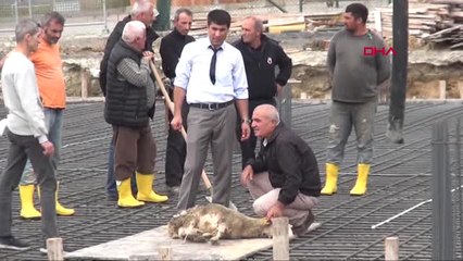 Tekirdağ Cezaevi Kampüsünde Personel Cami Yaptırıyor