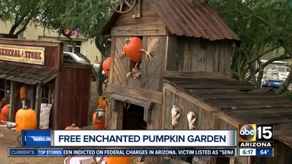 Free 'Enchanted Pumpkin Garden' in Carefree