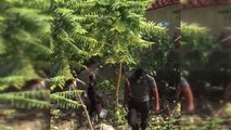 Ağaca Asılı Halde Bulunan Köpek Ölmek Üzereyken Kurtarıldı