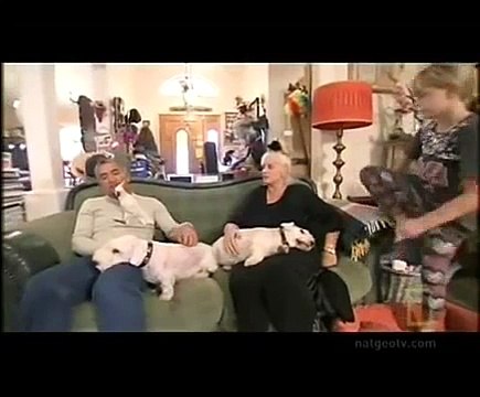 Dog Whisperer With Cesar Millan S05E22
