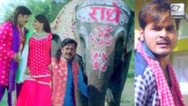 पहली बार भोजपुरी में दिखा हाथी | रवि किशन ,कल्लू और नेहाश्री का जबरजस्त अंदाज