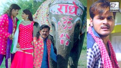 पहली बार भोजपुरी में दिखा हाथी | रवि किशन ,कल्लू और नेहाश्री का जबरजस्त अंदाज