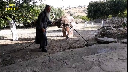 Στρουθοκάμηλος και μοναχός ...μιά ξεχωριστή φιλία