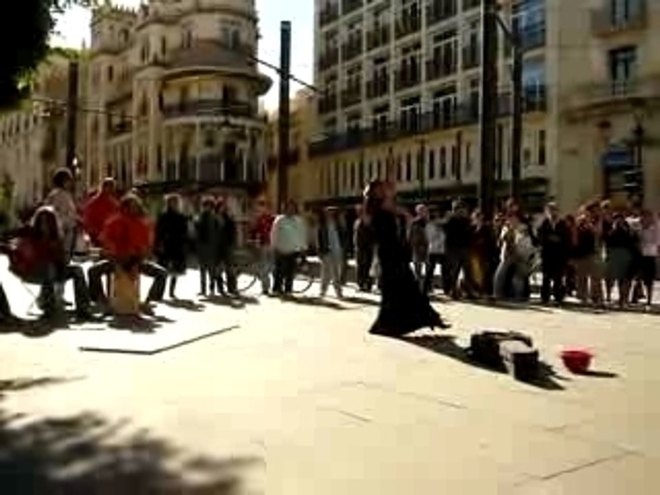 Flamenco Chineese