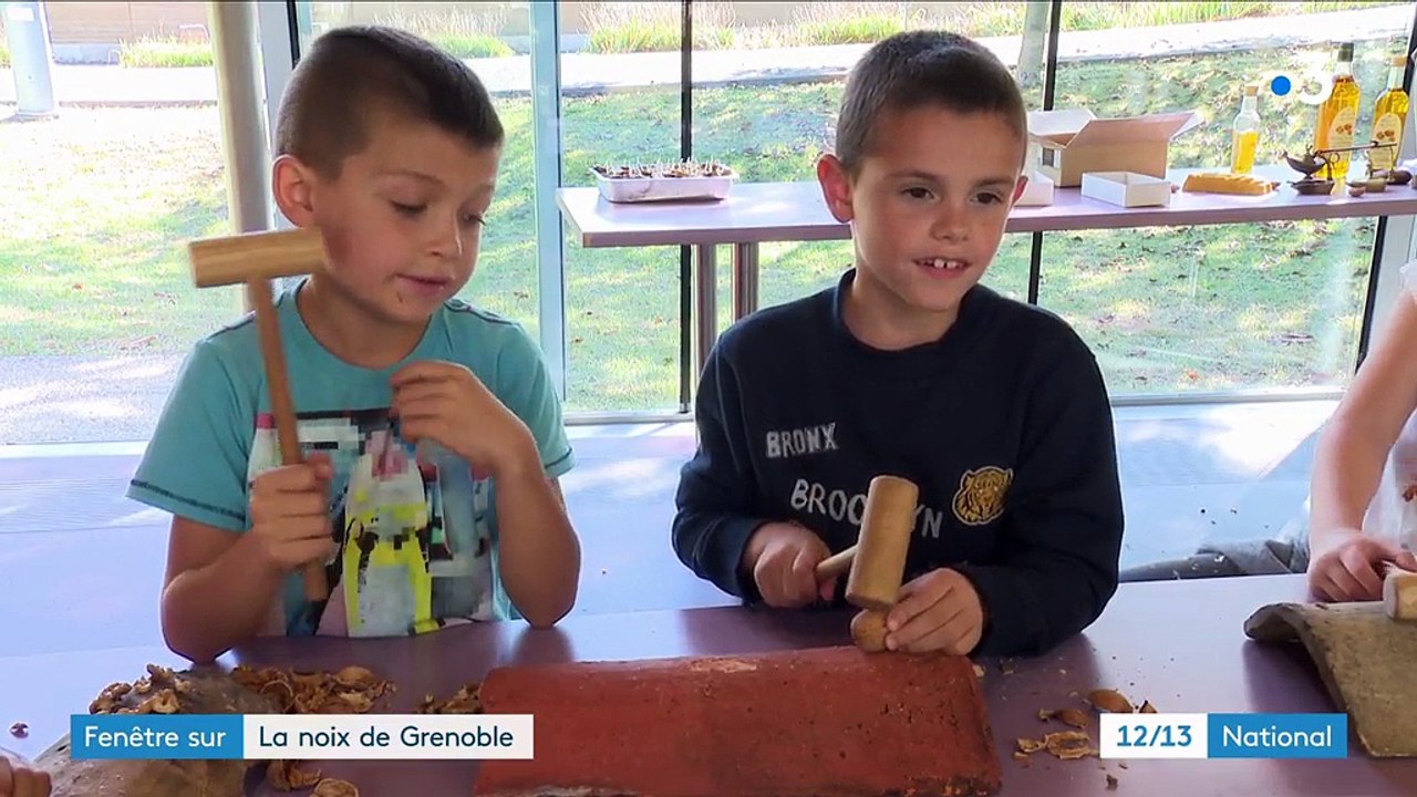 Isère : la noix de Grenoble, fierté de tout un territoire