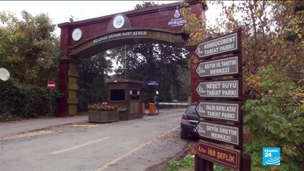 Khashoggi disappearance: Turkish authorities search Istanbul forest