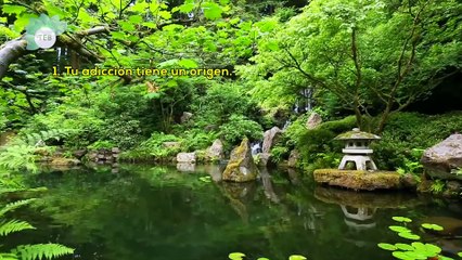 Centro de Terapia Adicciones Agosto 2018