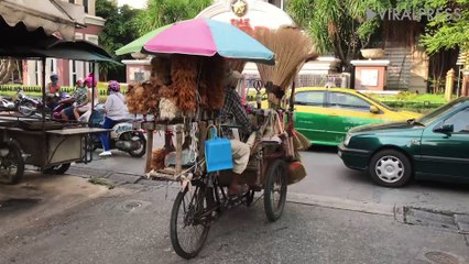 Feather Duster Seller Riding Cart