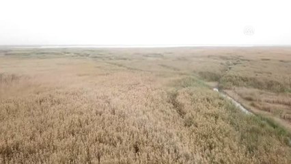 Eber Gölü'nde Su Yok Değil, Su Var"