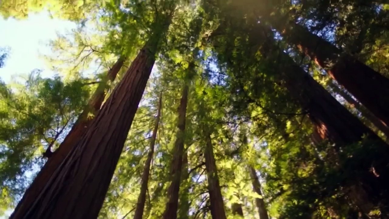 Weediquette S01E05 - The Emerald Triangle