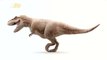 Why the T. Rex Really Had Tiny Arms