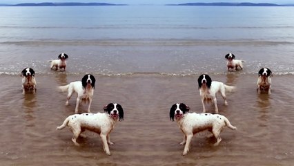 Anthony Roth Costanzo - Flavio, HWV 16: Rompo i lacci