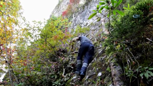 Karadeniz’in Peri Bacaları Havadan Görüntülendi